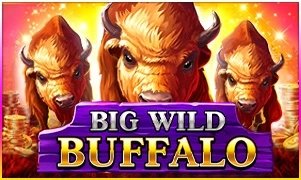 Big Wild Buffalo